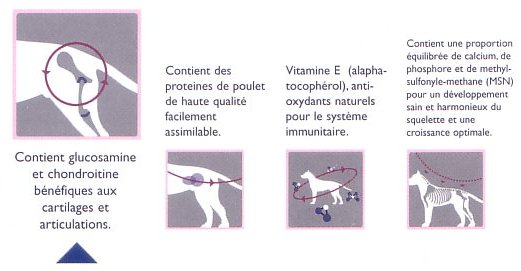 aliment chiot
